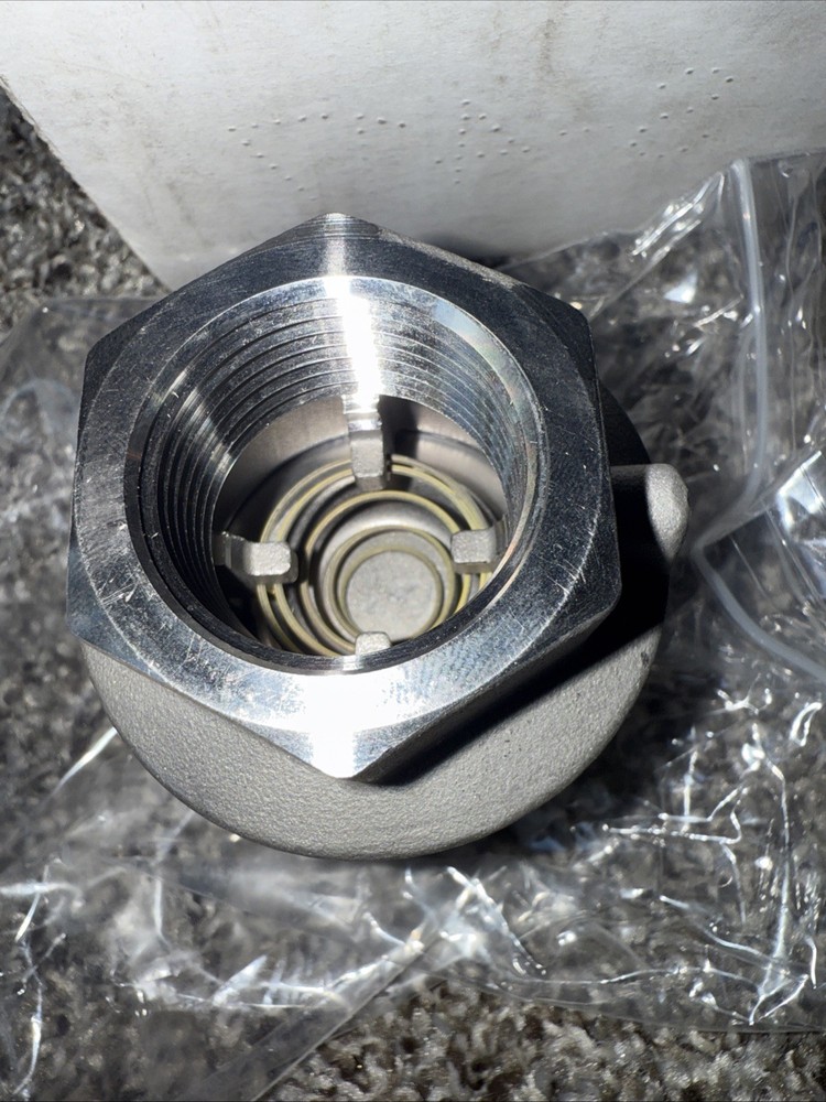 New DFT 835E7B4A5W Stainless Check Valve 1" 316SS