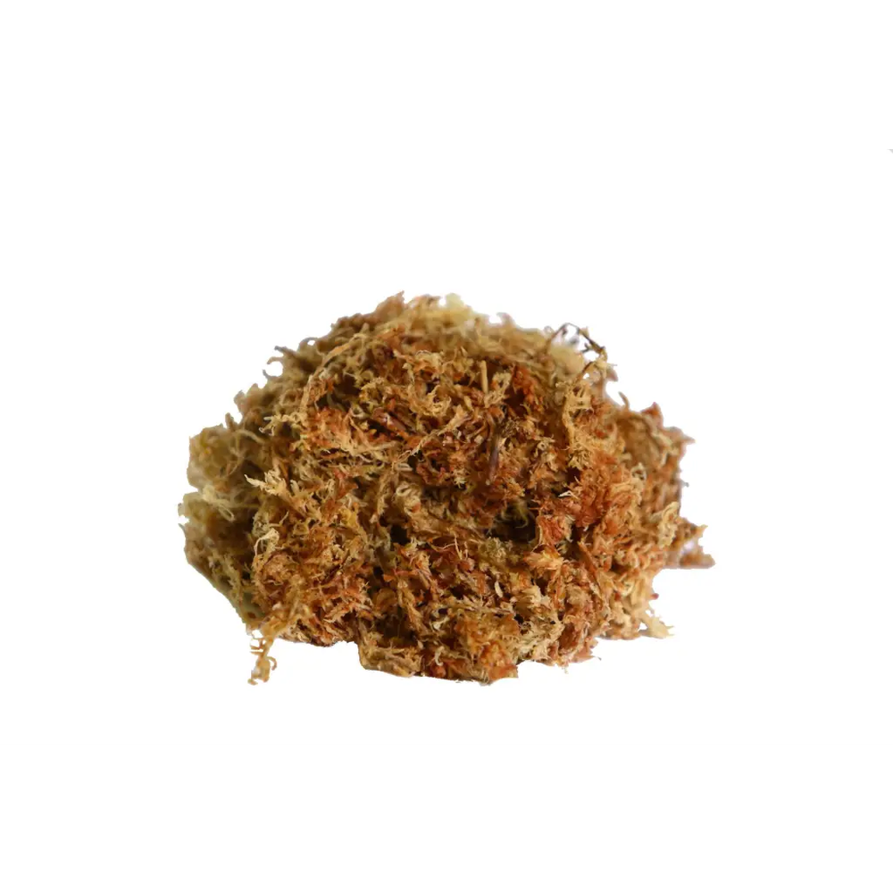 Orchid Nerd Compressed Sphagnum Moss 150 Grams