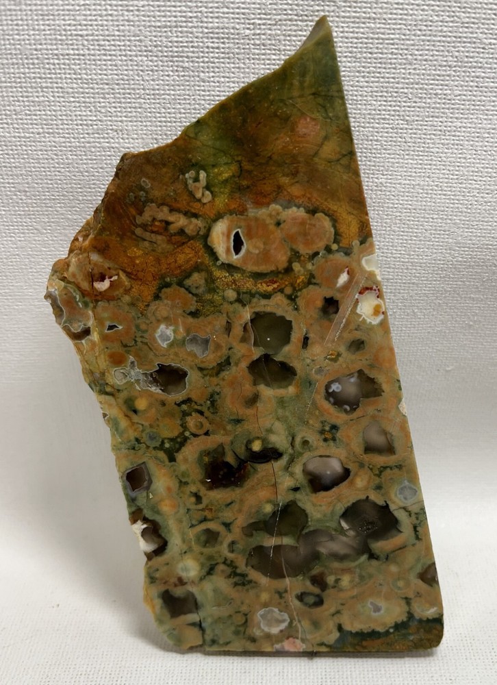 Rain Forest Jasper 116gm Gem Lapidary Slab