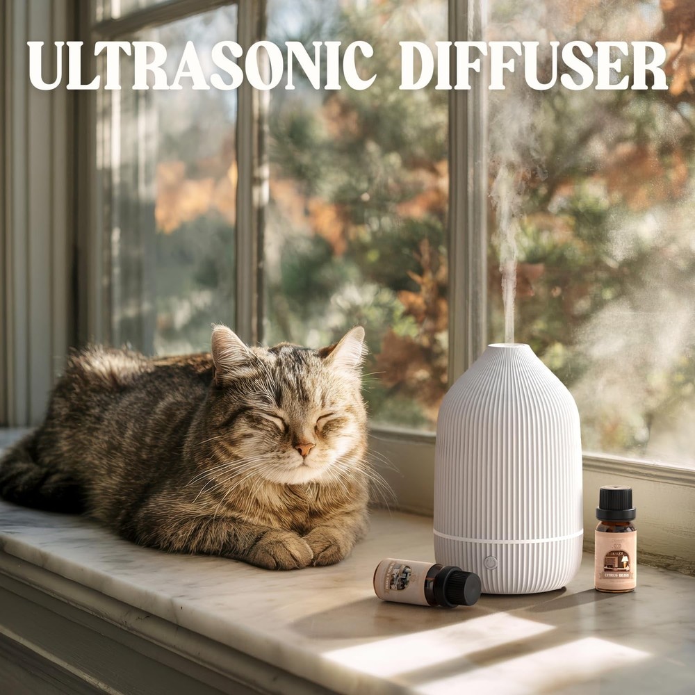 Essential Oil Diffuser, 100ml Aromatherapy Mini Ultrasonic White