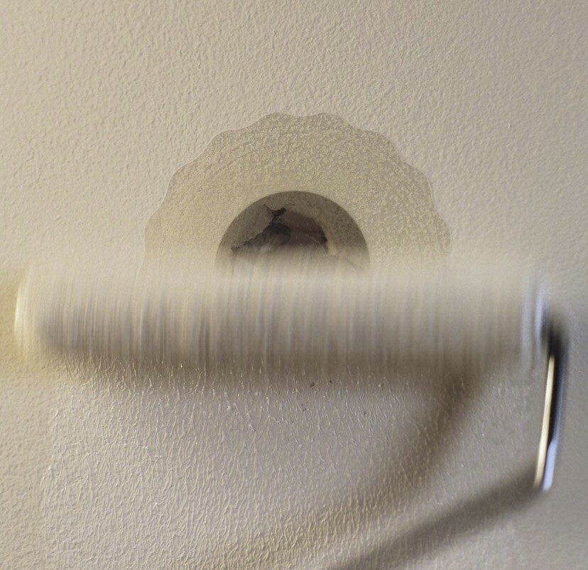 DAP Eclipse Rapid 4” Wall Repair Patch.
