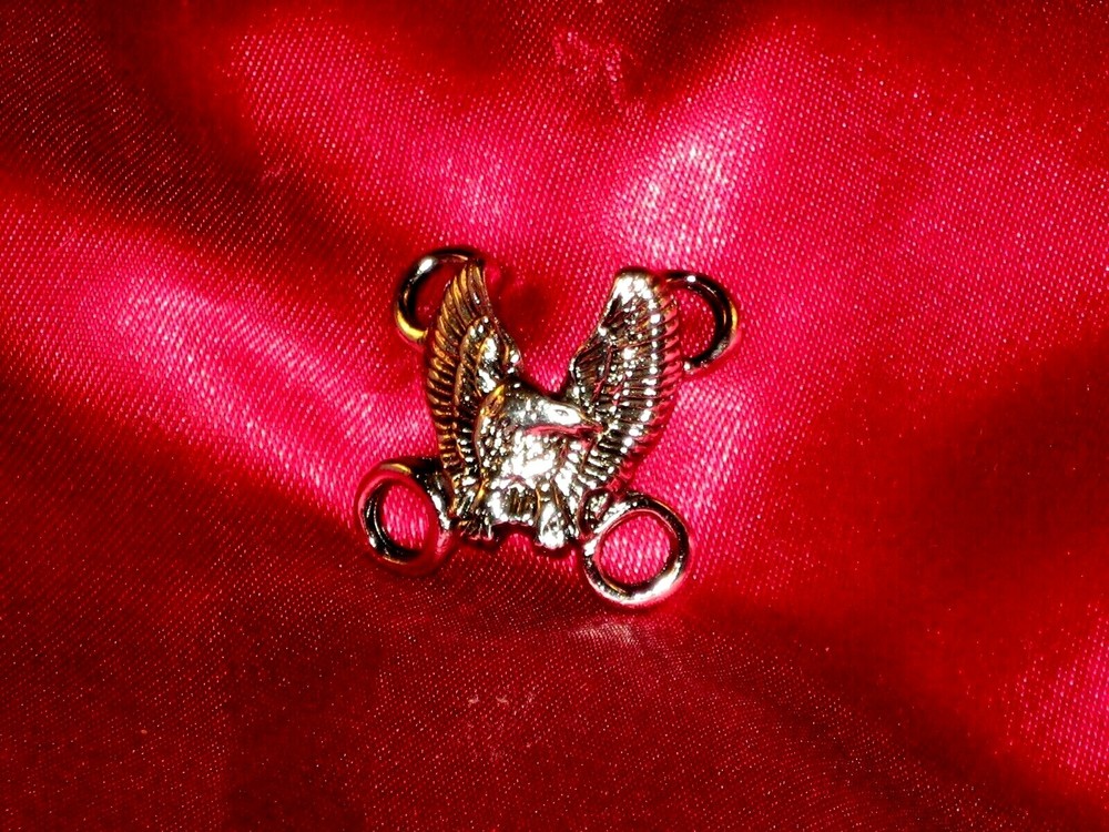 Side Lace Motorcycle Vest Extender "Eagle" Sold Each