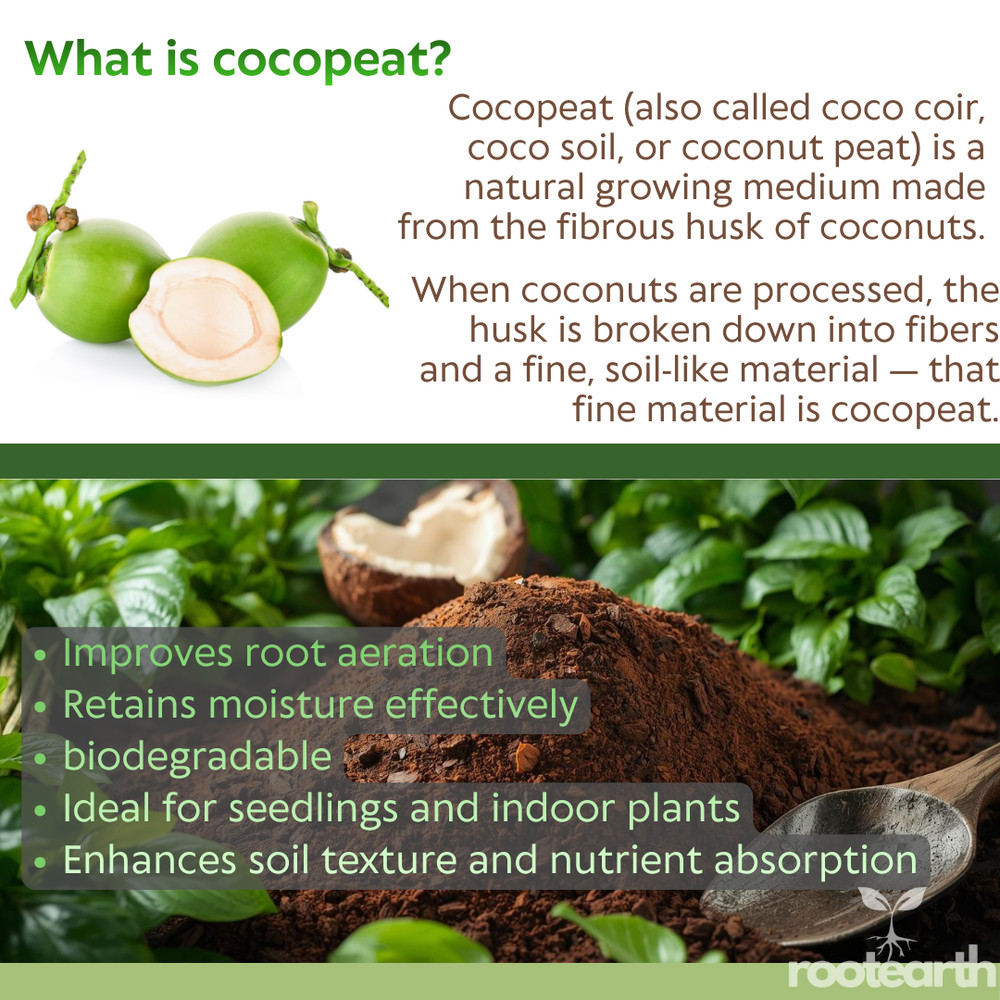 RootEarth Coco Peat Block 2.2lb Expands 10lb Low EC Washed Coir Growing Medium