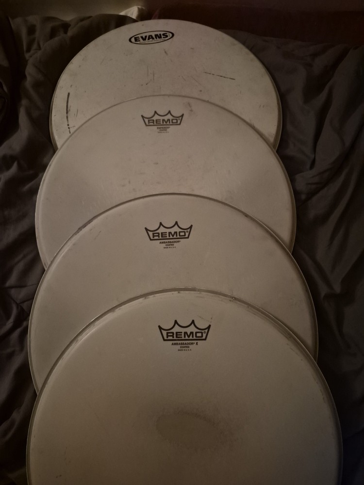 Remo Drum Heads