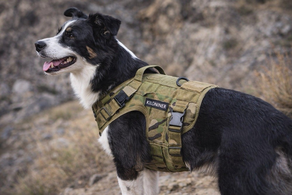 Kiloniner Tactical Dog Harness Medium Camo USA Made NWT