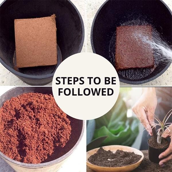 Coco Peat Block - 5kg