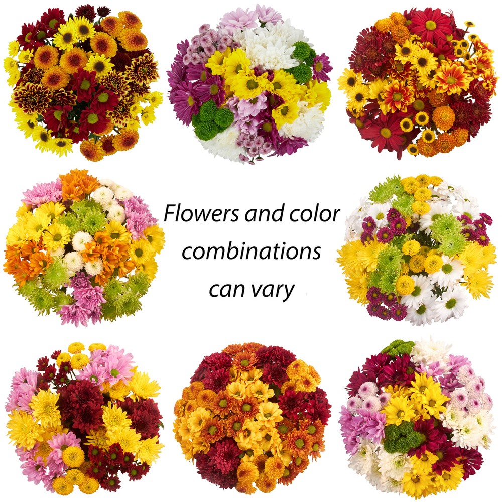 Rainbow Pom Flower Bunch Large