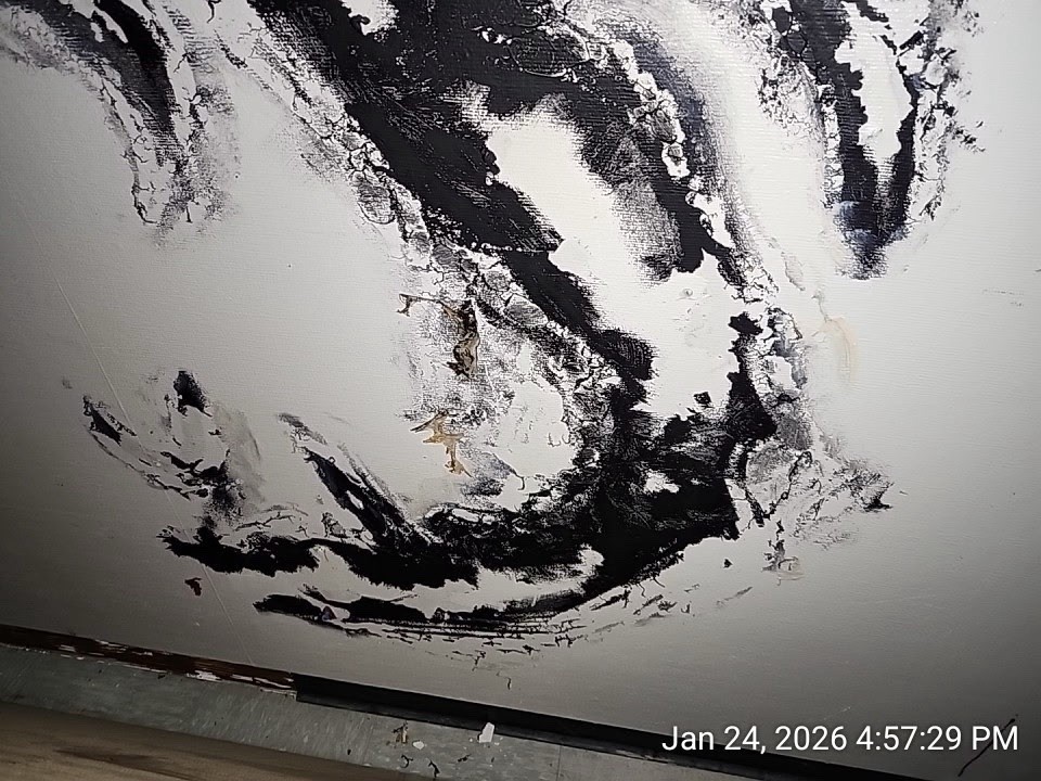 Stranger Things Prop On Set Full Ceiling tile Vine And Wall Hawkins Lab