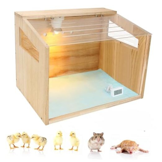 Chicken Brooder Box for Chicks - Poultry Brooder with Heaters : Panoramic