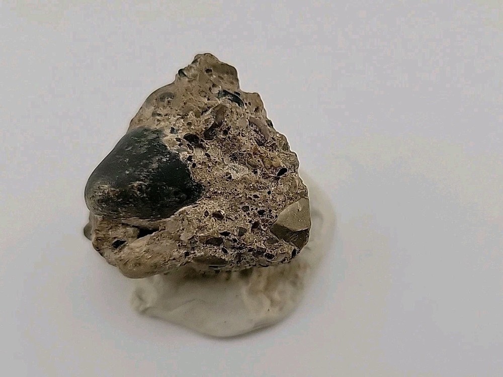 Real Permineralized Reptile Egg Fossil