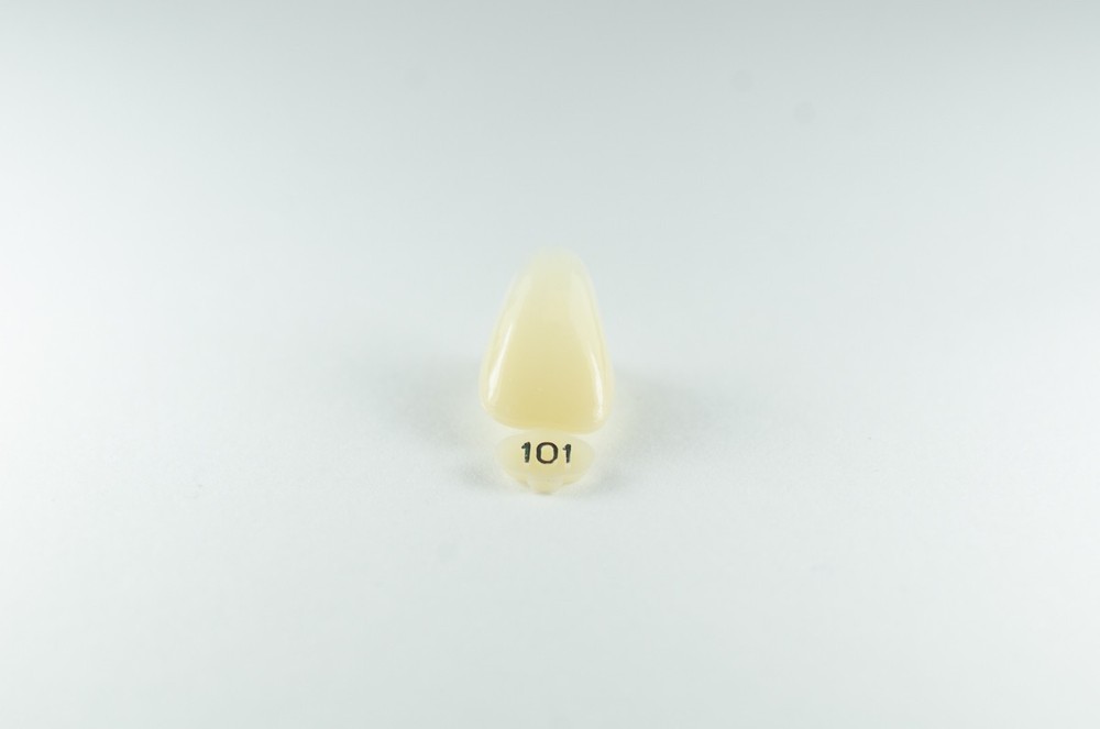 DENTAL POLYCARBONATE TEMPORARY CROWNS #101 (URC) UPPER RIGHT CENTRAL 5/PACK