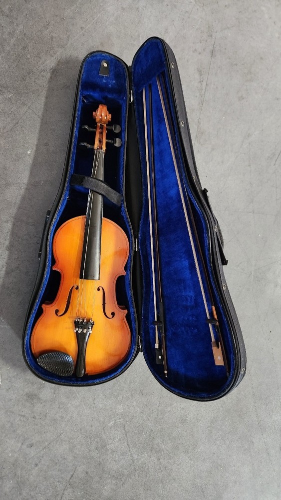 violin