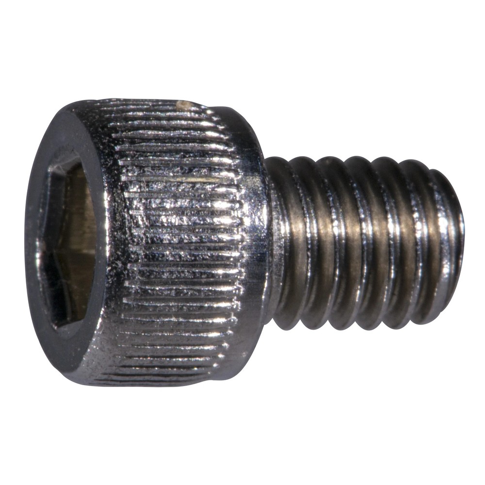 #10 x 1/4" Stainless Knurled Head Hex Socket Cap Screw (20 pcs.)