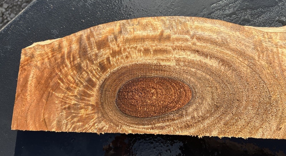 Hawaiian Curly Mango Board #14106