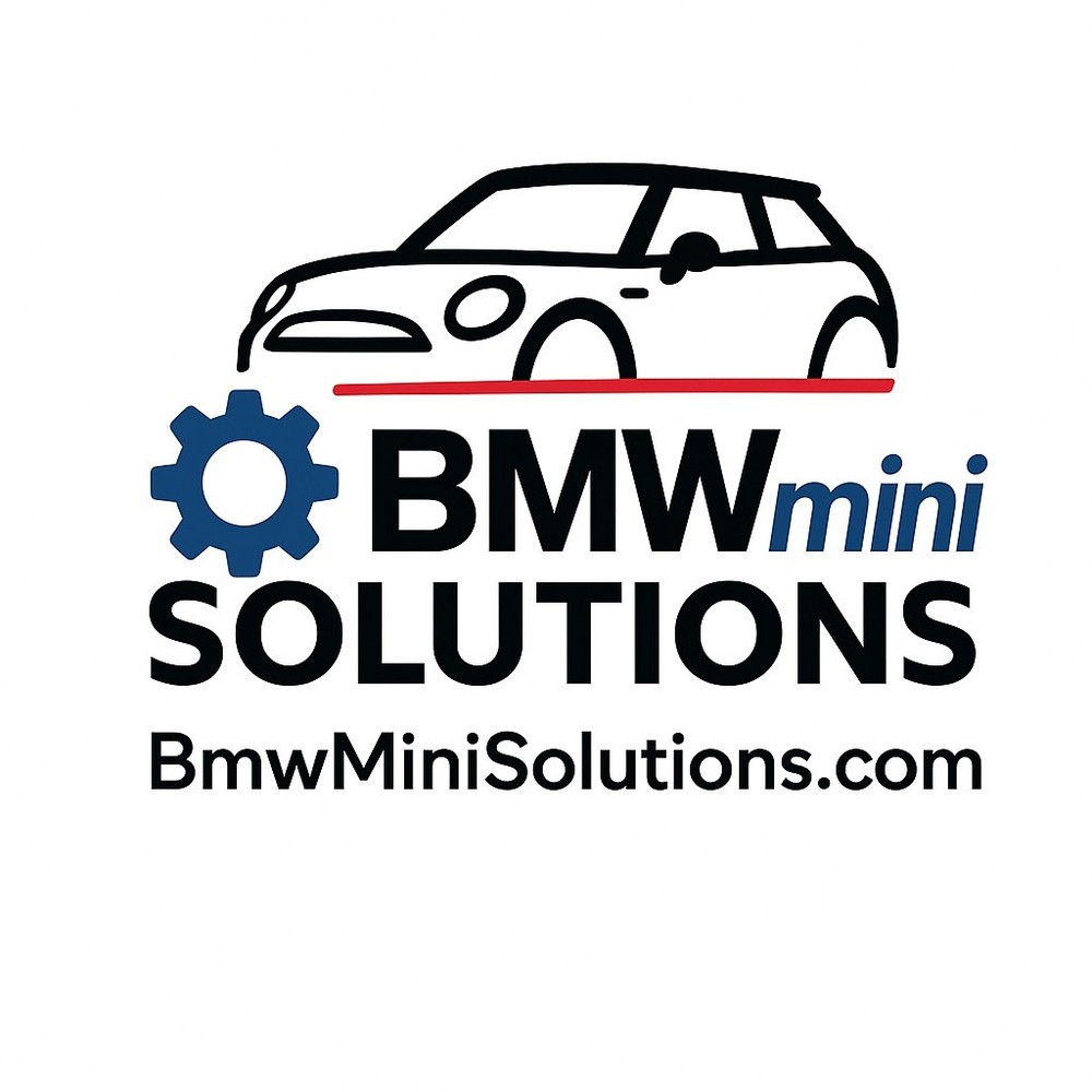 R53 Mini Cooper S EWS Delete Service - Fully Plug and Play with Delete Module
