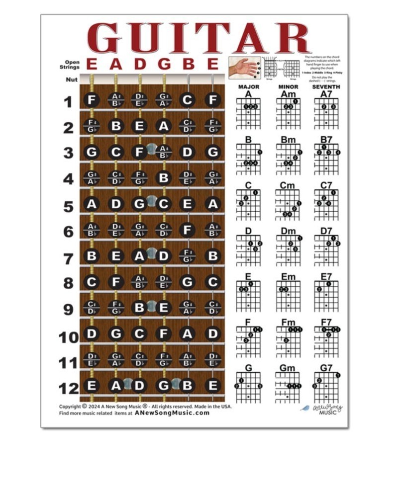 Laminated Guitar Beginner Chord Chart 8.5x11 Chords Fingerboard Notes