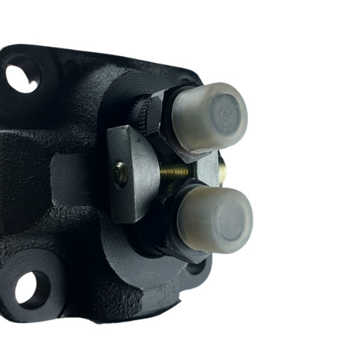 RUGGERINI RD220 RD270 ENGINE PUMP COMPLETE INJECTION PUMP