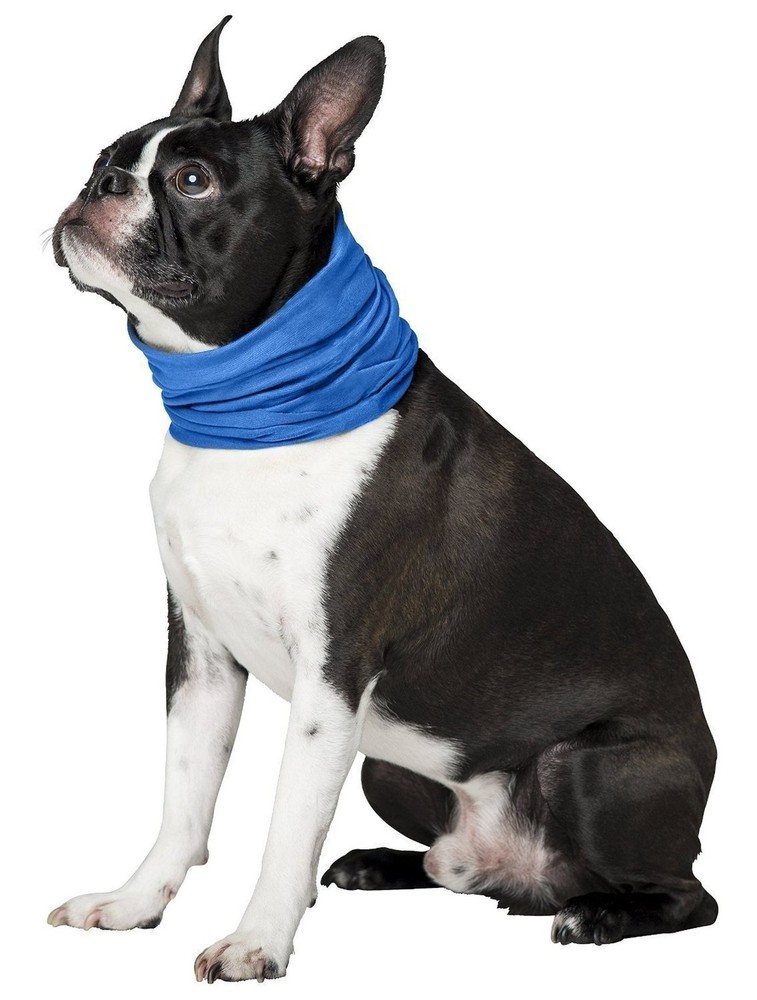 Dog Cooling Collar (Small/Medium 8"- 20") Small/Medium 8"- 20"