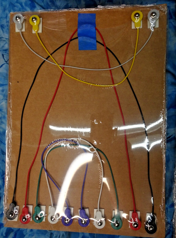 Snap Circuits Rover Kit & Snap Circuits LIGHT