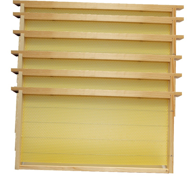 Deep Brood Bee Hive Frames and Wax Foundations,20 Pack Honey Bee Frames