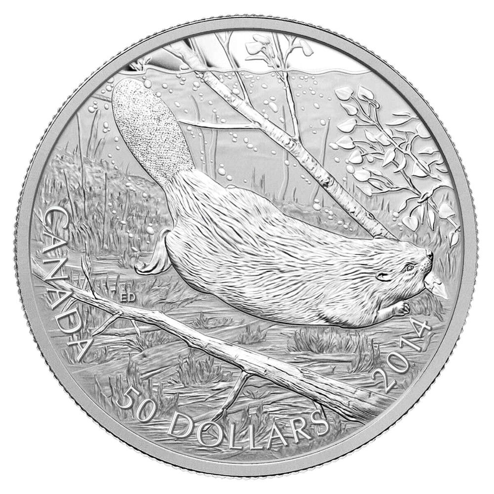 2014 Canada $50 Swimming Beaver - 5 ounce Pure Silver Coin