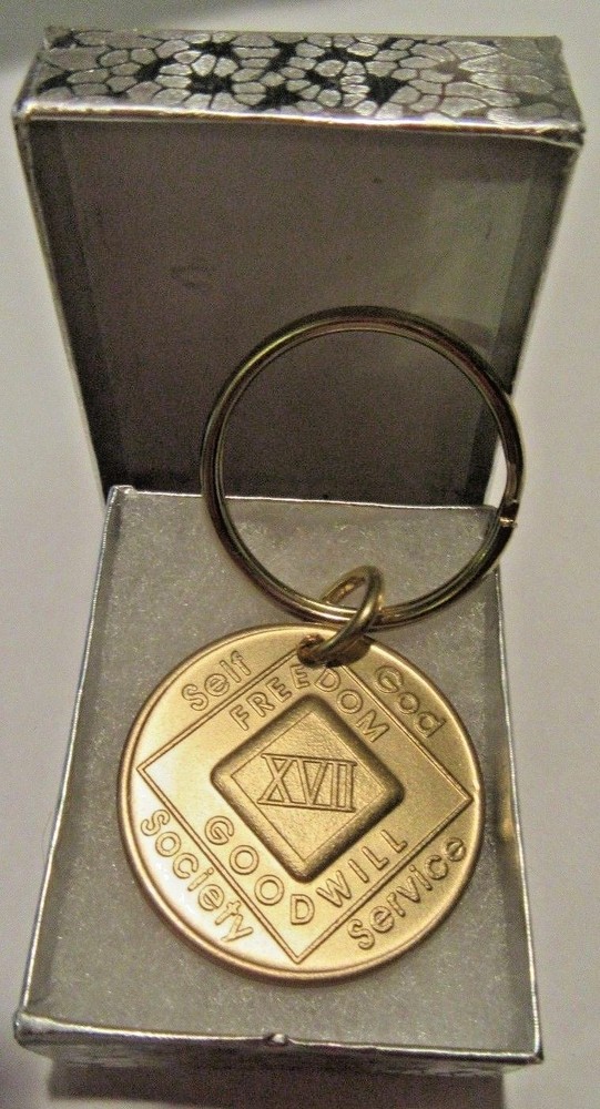 NARCOTICS ANONYMOUS  NA KEY TAG 17 YEAR Keyring medallion Serenity Clean