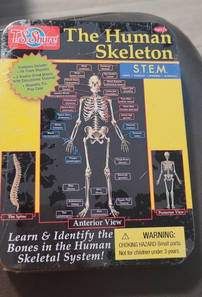 Magnetic Learning Activity STEM in Sealed Tin Human Skeleton  7+