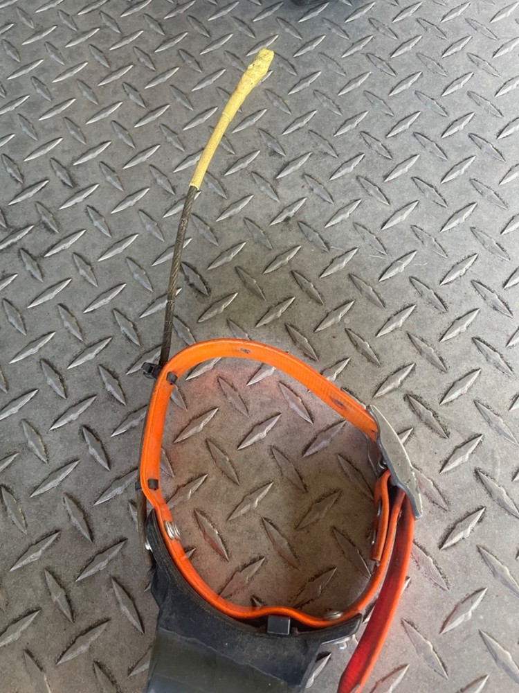 Quick Track Dog Tracking Collar