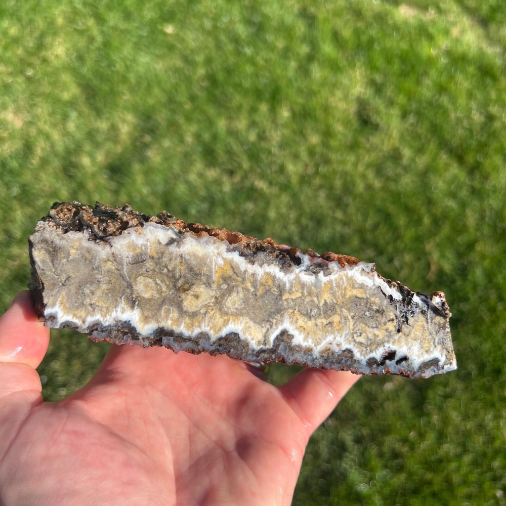 Liberty Ledge Agate Rough Faced Specimen 438gm (P19)