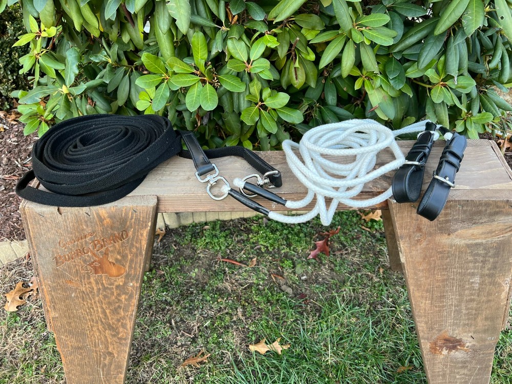 Leaders Training Reins