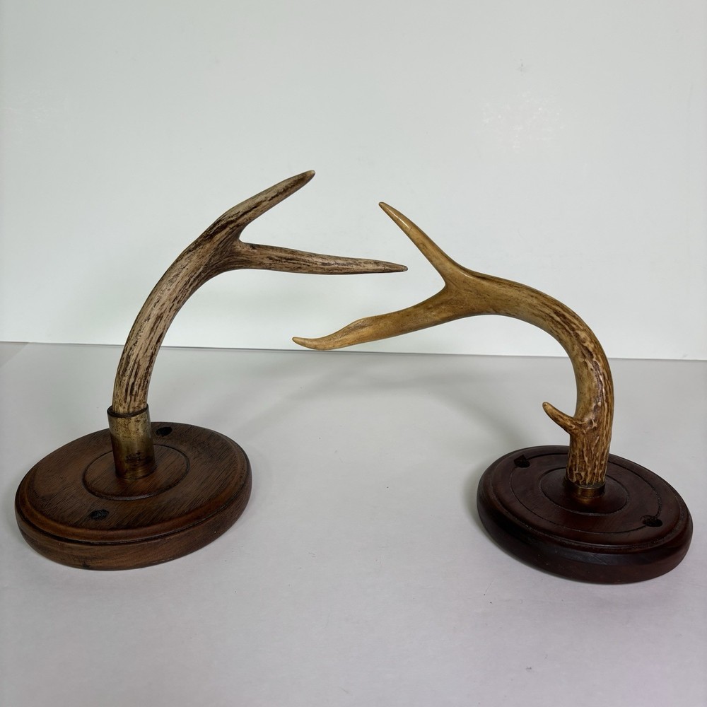 Antler Display