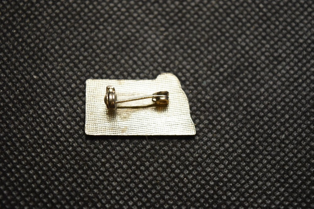 Skiing's Where It's At! Ski Pin
