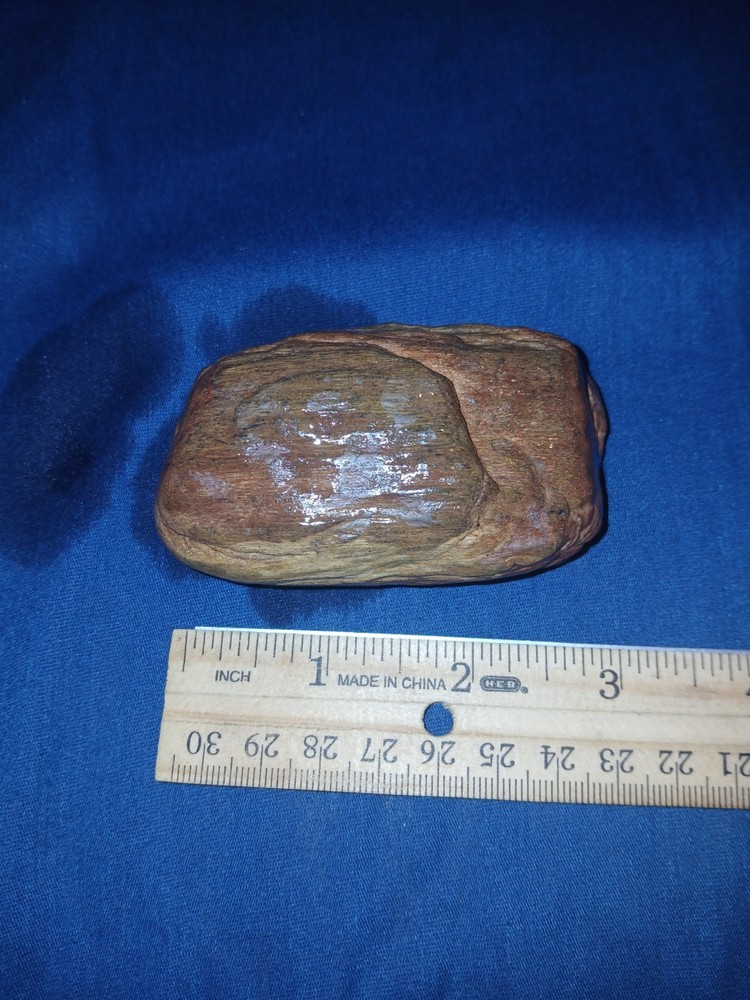 6 oz Red Petrified Wood