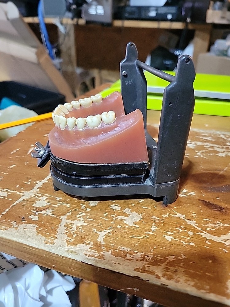 Vintage Dental Model, Typodont Model, Orthodontic Simulation Training As Is