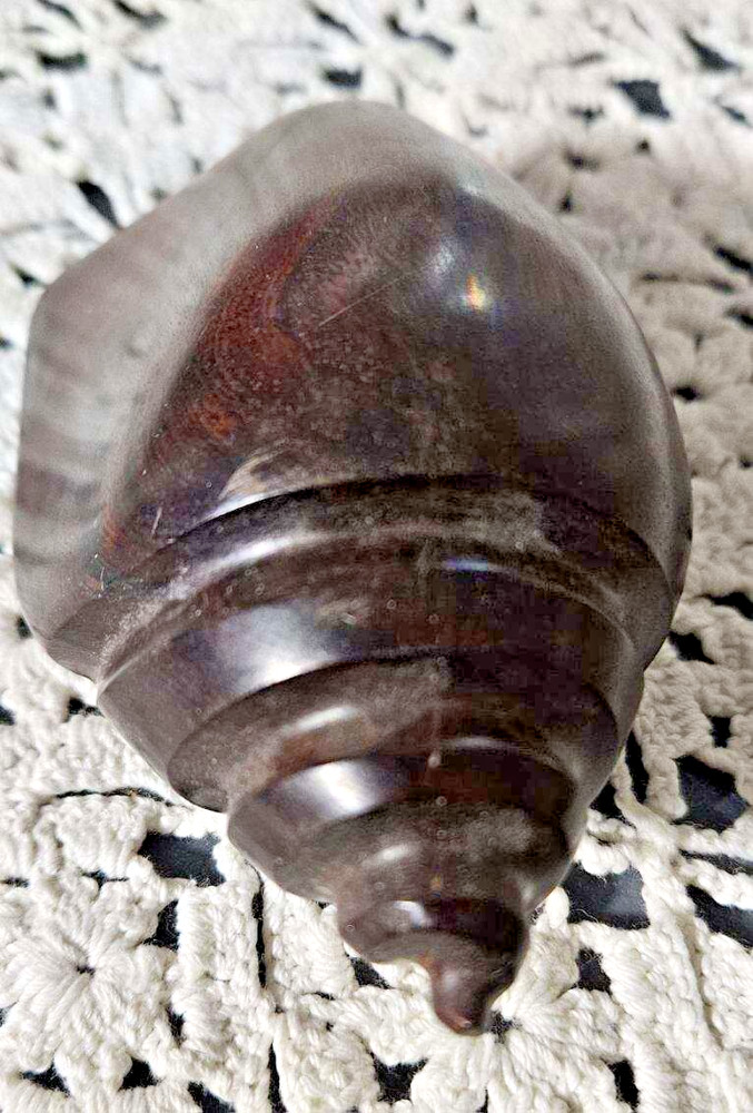 Vintage Ironwood Carved Conch Shell