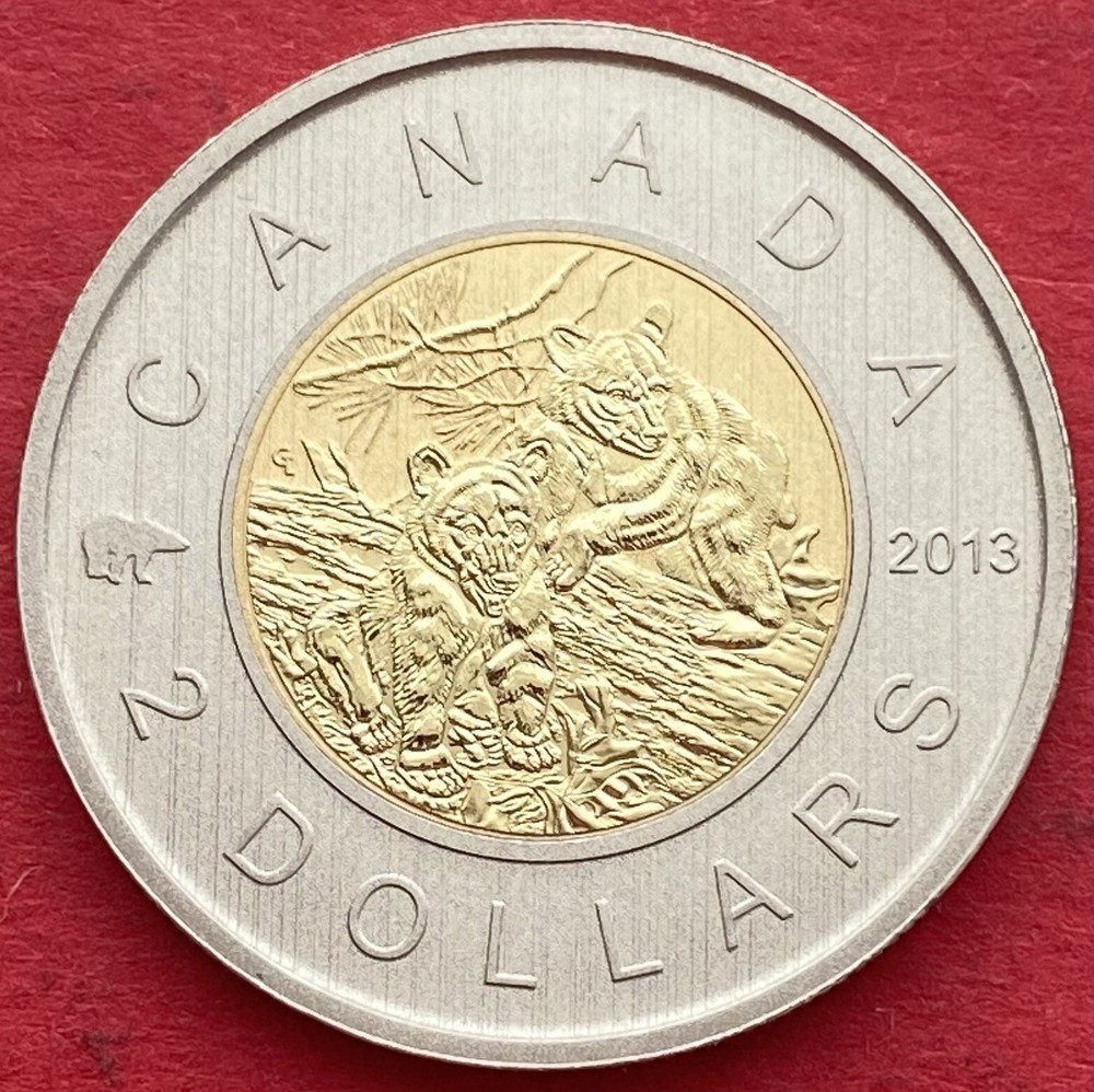 2013 Canada 2$ Black Bear Cubs - Specimen - Lot#9560