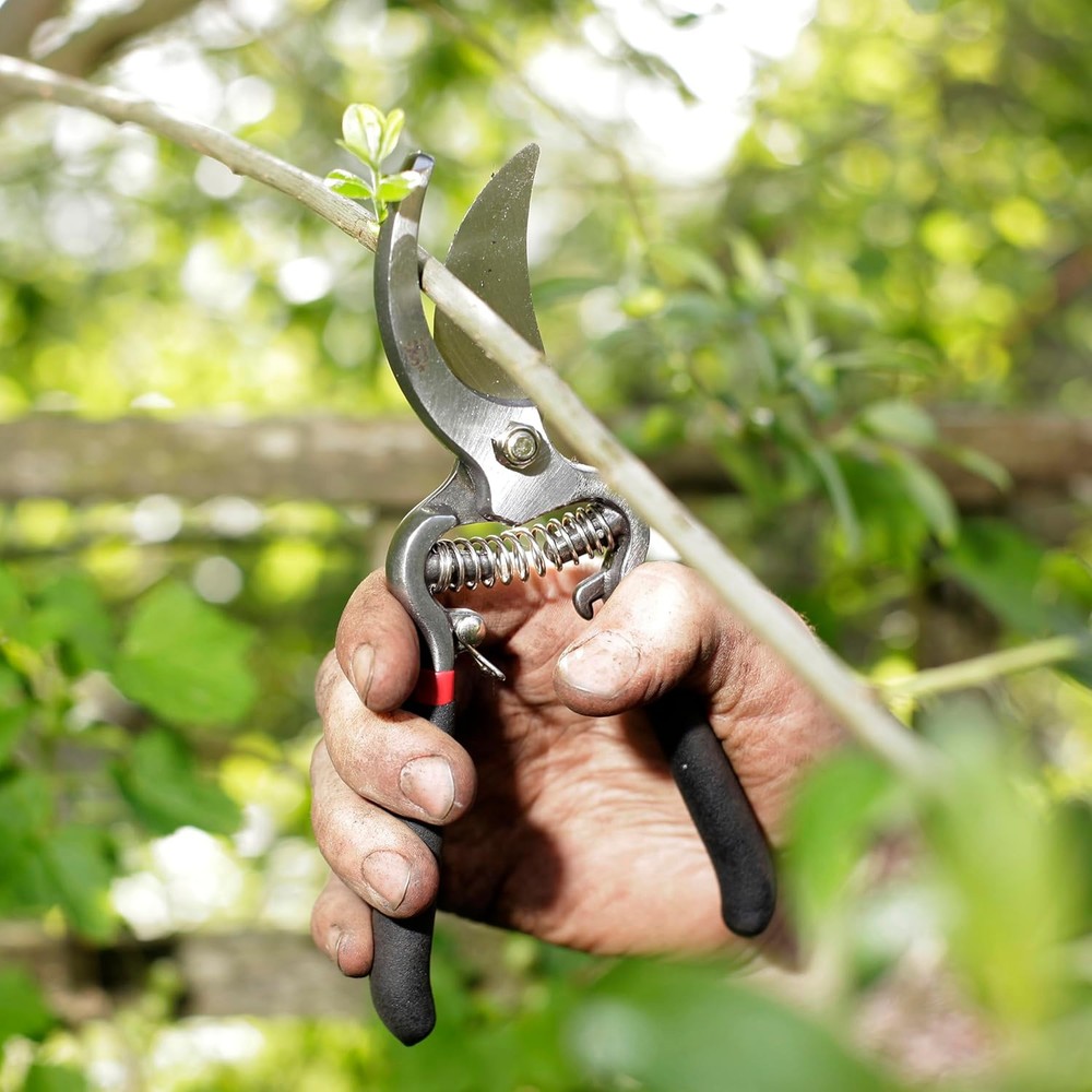 Spear & Jackson Drop Forged Bypass & Anvil Pruners Set, 2Pc Garden Pruning Tools
