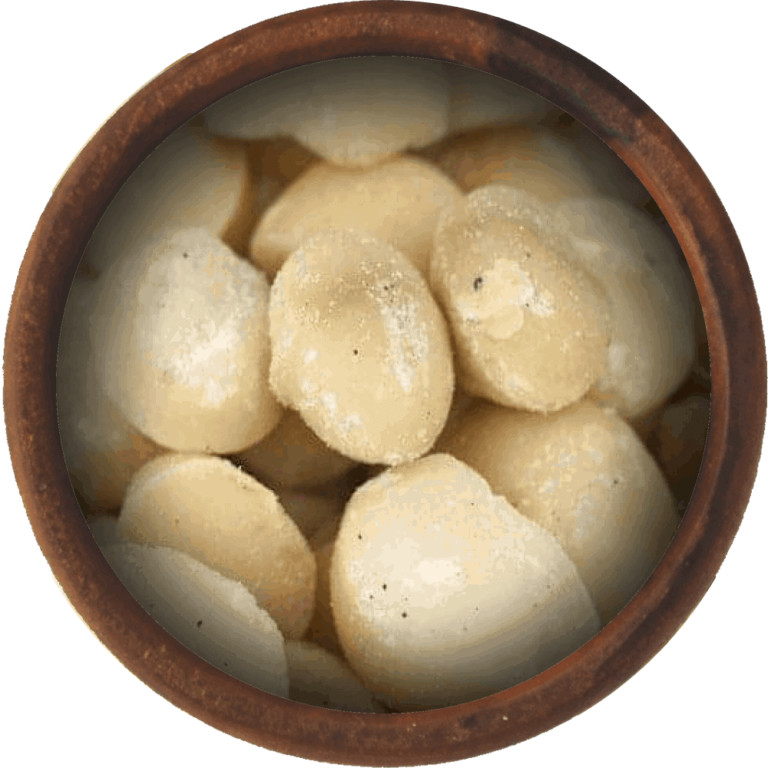 Bulk Raw Macadamia Nuts, Unsalted 25 Pound Wholesale Box