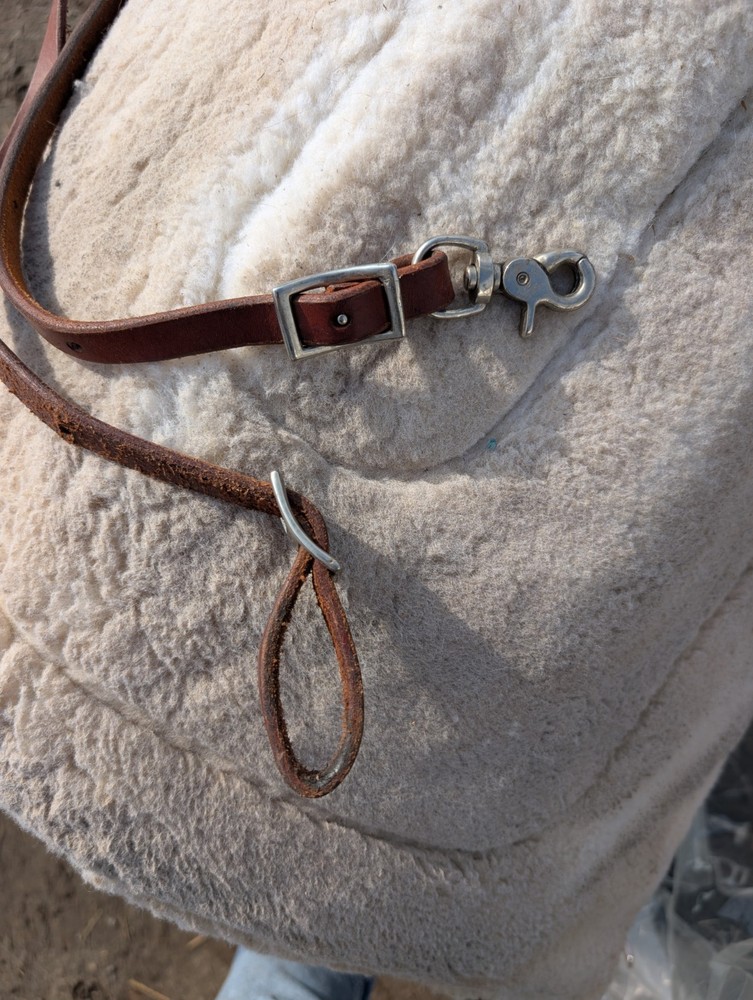 Leather barrel reins