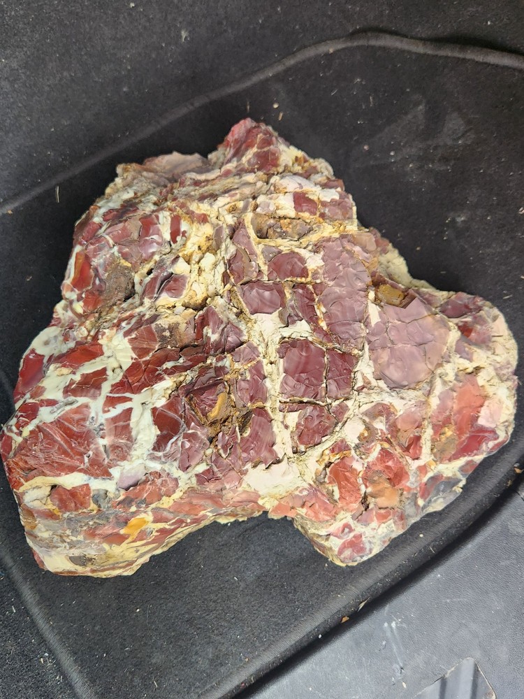 brecciated jasper large rough rock 16 x 10 Beautiful patterns