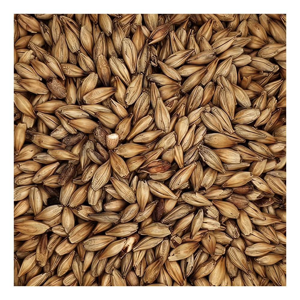 Home Brew Ohio Carapils Grain 1lb