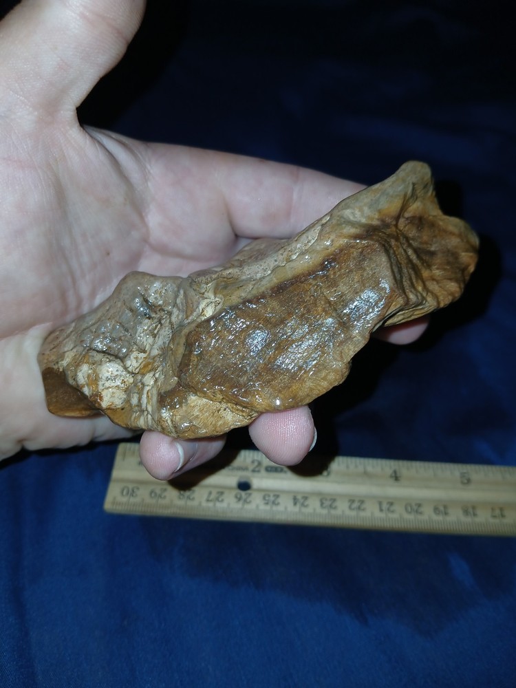 8 oz Texas Petrified Wood
