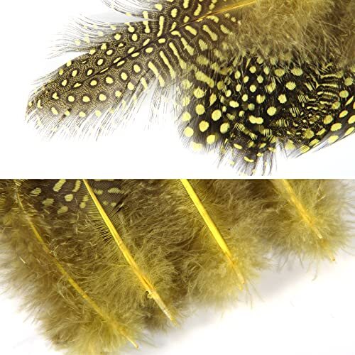 Spotted Feathers 120pcs 2-3inch Small Natural Bulk Guinea Pheasant Feather