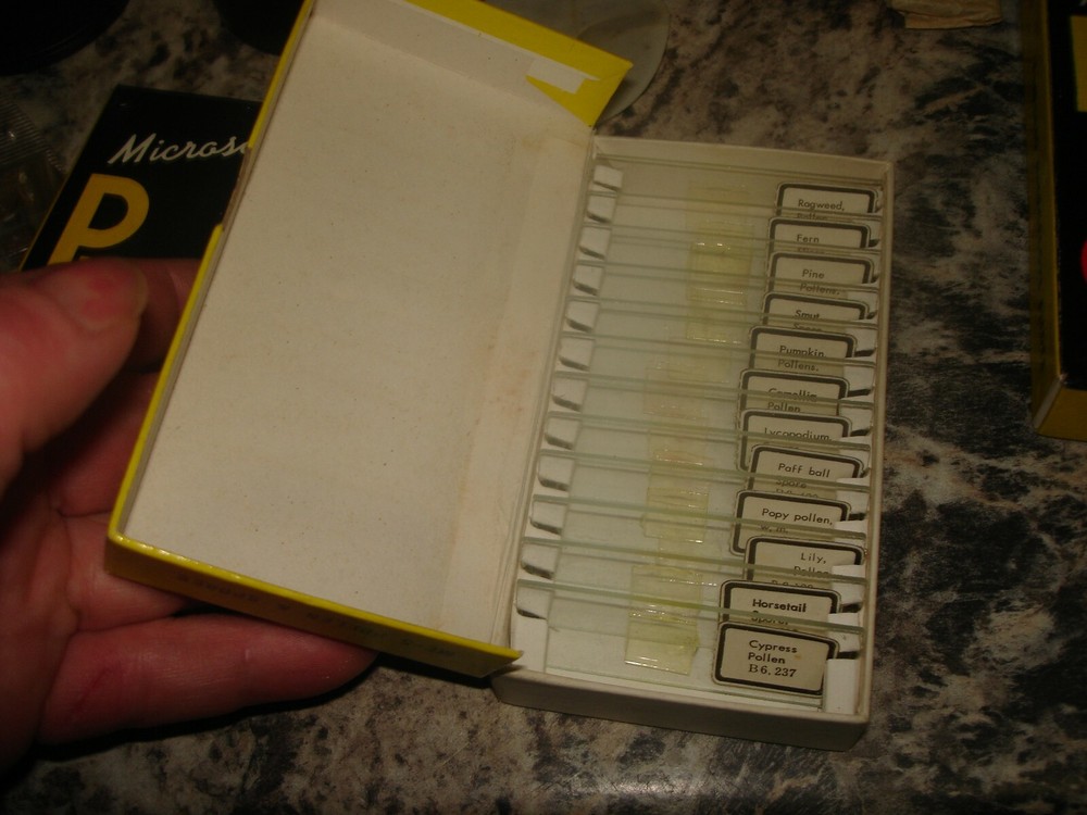 Vintage Gilbert Microcraft Microscope and Storage Cabinet and Slides Cool