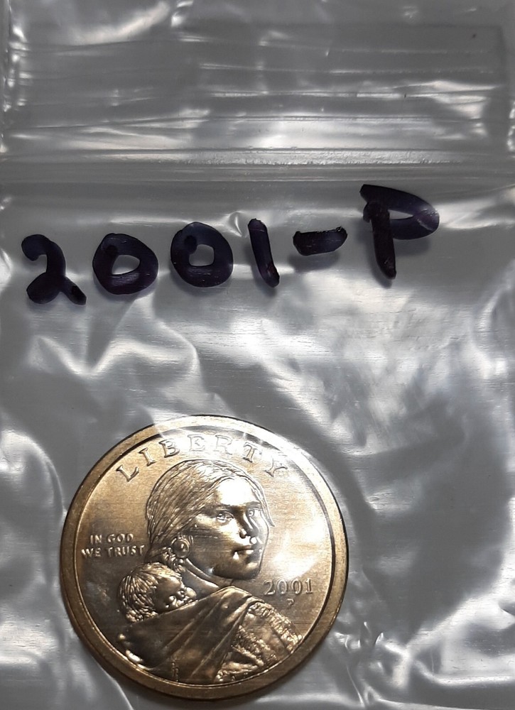 2001-P Sacagawea Dollar