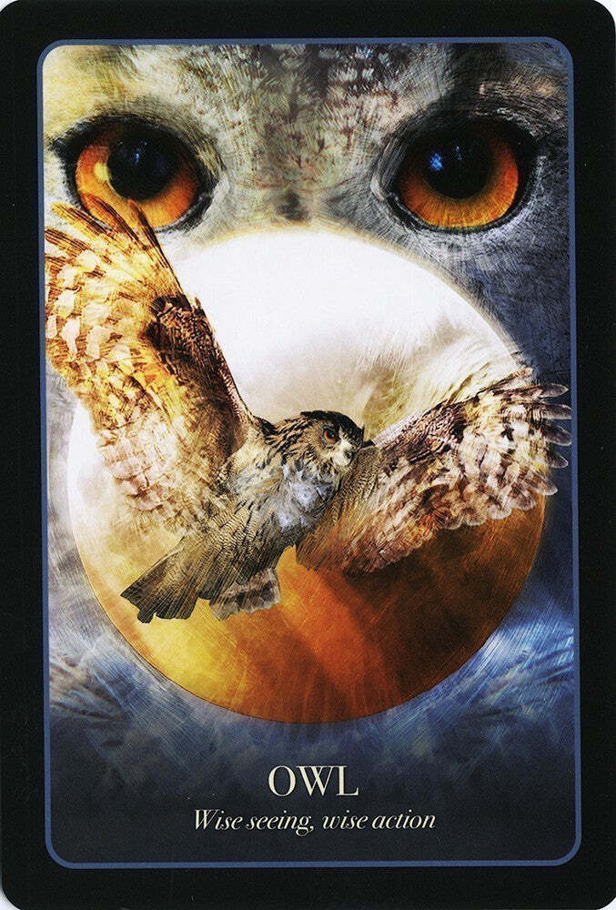 Tarot Card Set - The Halloween Oracle