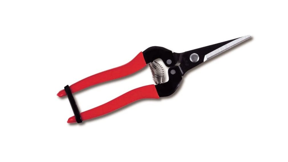 Hp300l Needle Nose Fruit Prune