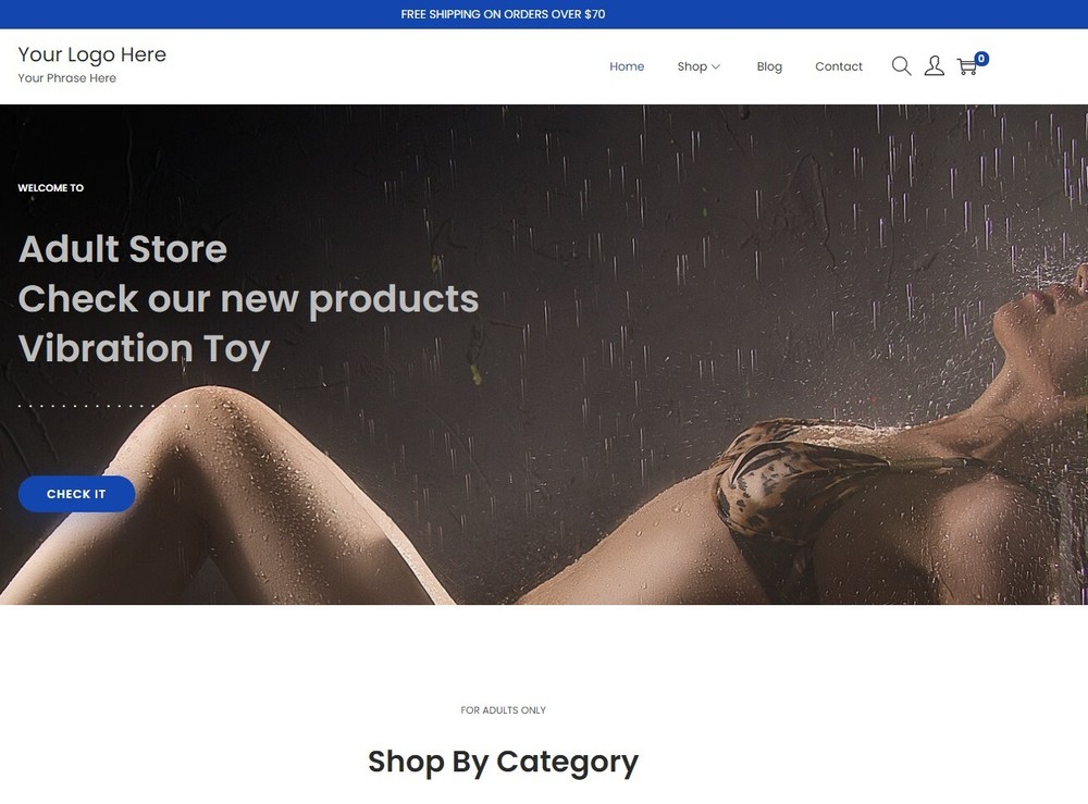 Professional Online Store | Website | WordPress