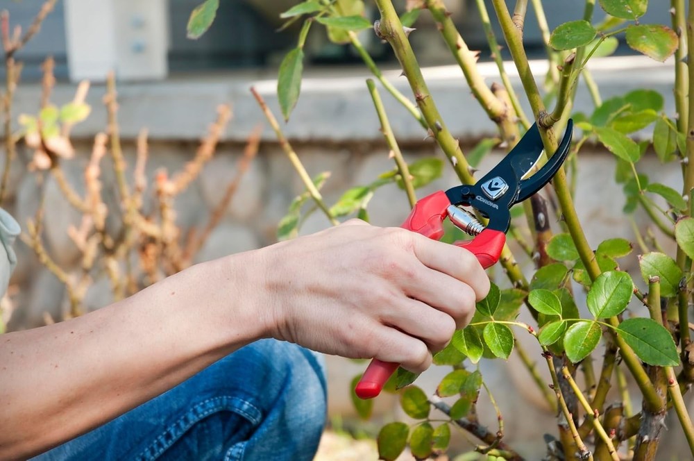 Versatile BP 3214D Hand Pruner - Ergonomic, Lightweight, and Sharp Bypass Blade