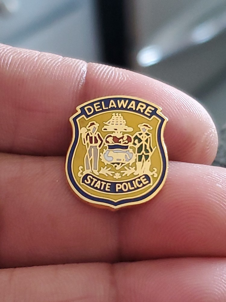 OBSOLETE Delaware State Police Pin